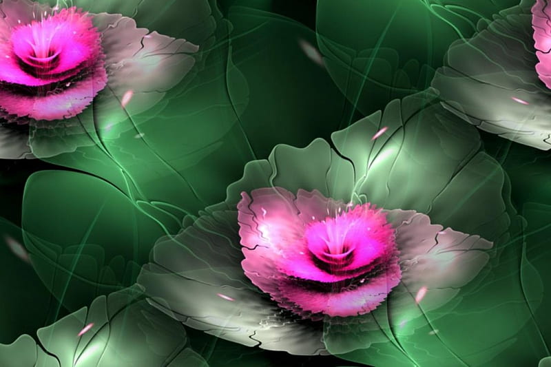Glowing waterlily for my lovely friend Afsar, flower, waterlily, colors, glow, HD wallpaper