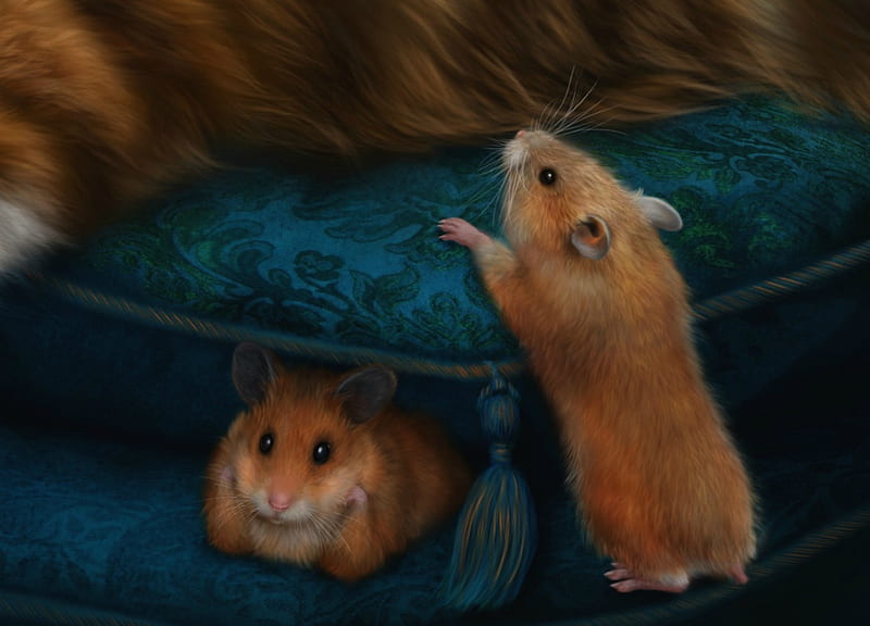 The mice, alenaekaterinburg, art, pillow, luminos, hamster, orange, detail, animal, cute, fantasy, mouse, blue, HD wallpaper