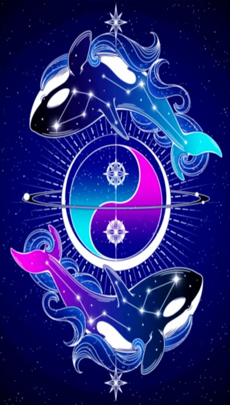 Yin Yang Orcas, orca, stars, whales, yin yang, HD phone wallpaper
