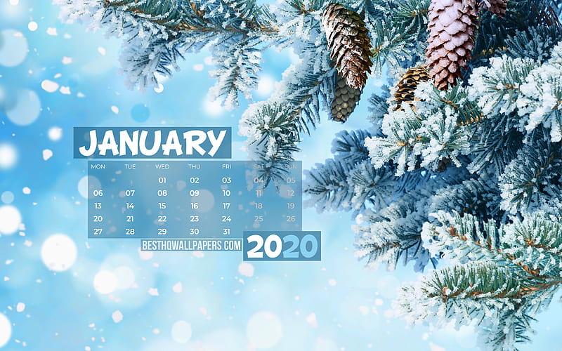 January 2020 Calendar, snowy fir-tree, 2020 calendar, January 2020, winter, creative, winter backgrounds, January 2020 calendar with fir-tree, Calendar January 2020, blue background, 2020 calendars, HD wallpaper