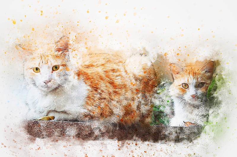 Cats, Cat, Artistic, Pet, Watercolor, HD wallpaper