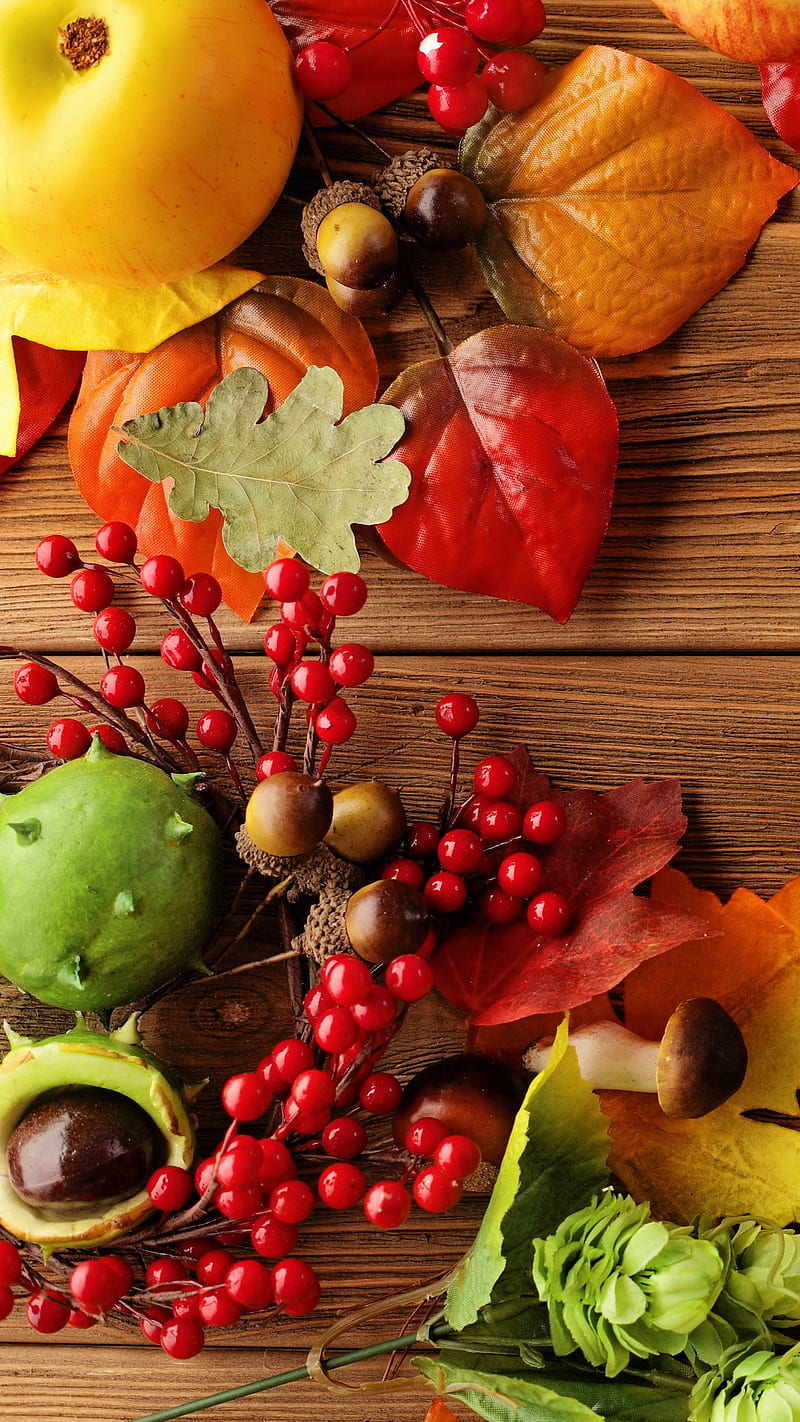 Fruit , apply, berry, fall, leaf, HD phone wallpaper