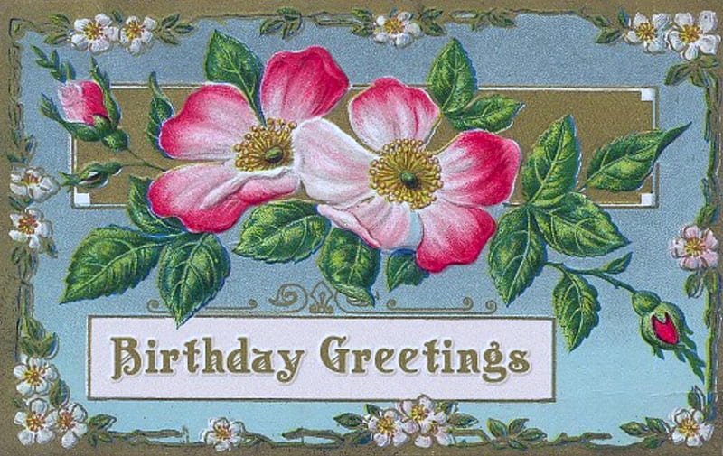 Victorian Birtay Card with Dogwood Blossoms, Dogwood, Pink, Blossoms, Card, Birtay, Floral, GreetingCard, HD wallpaper