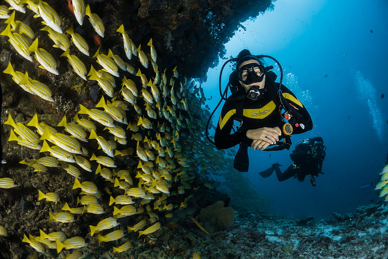 two people scuba diving underwater, HD wallpaper