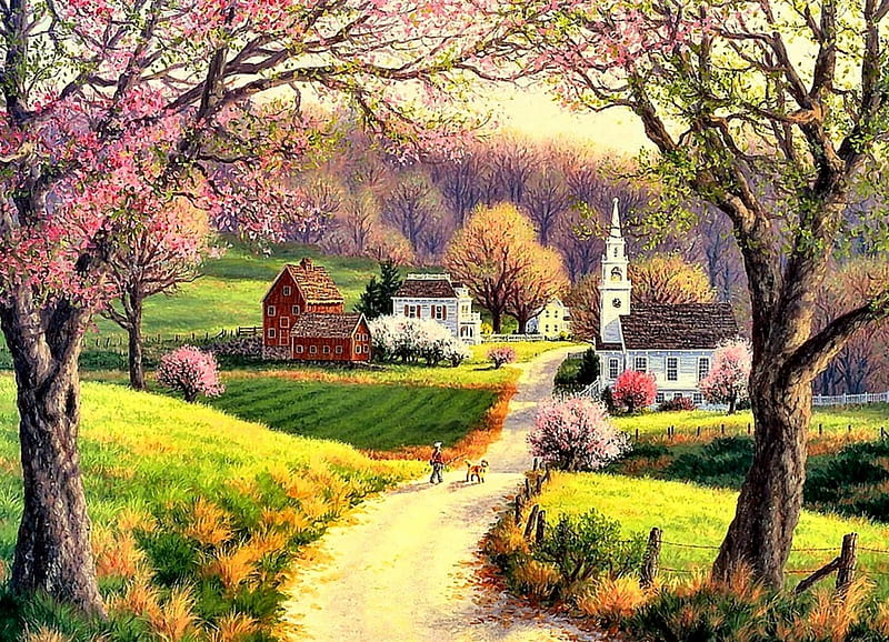Spring Blooms, fence, steeple, house, church, trees, barn, boy, road, dog, sflowering trees, HD wallpaper