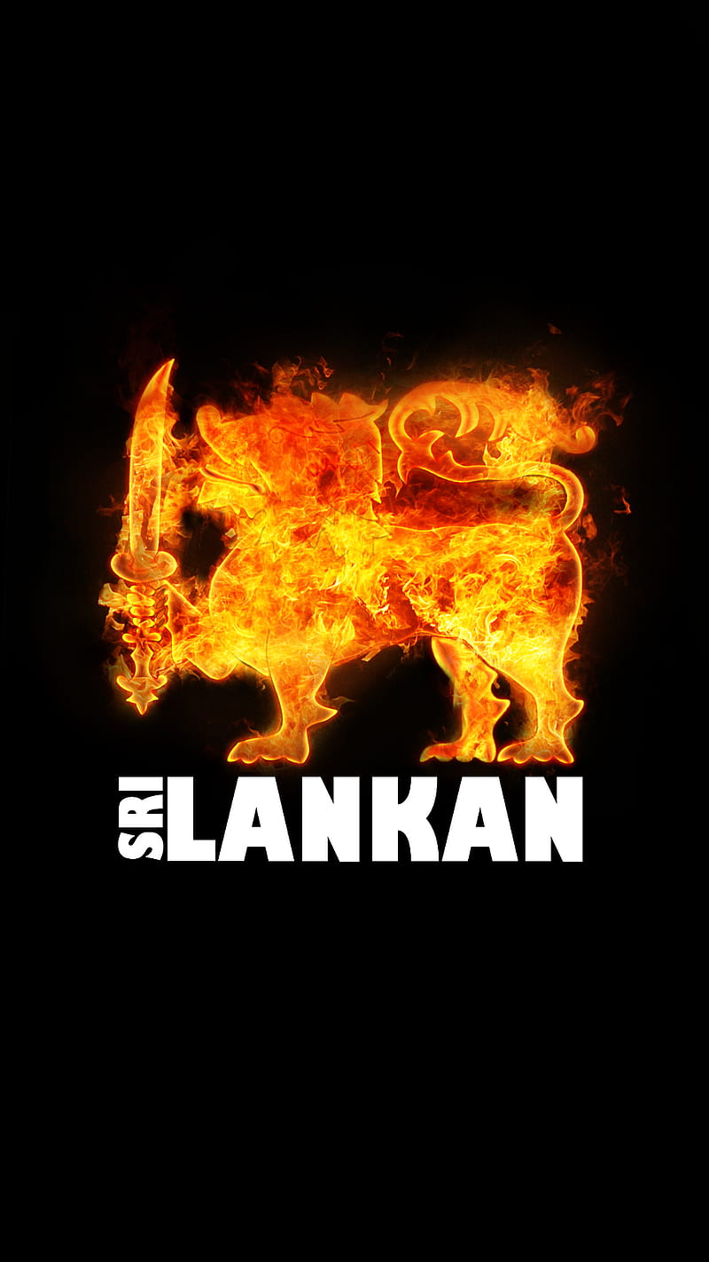 Sri Lankan, lanka, lankan, lion, love, sinhale, sri, sri lanka, srilanka, HD phone wallpaper
