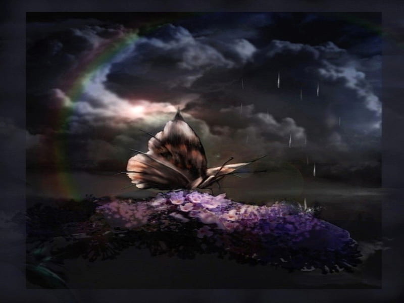 RAINY DAY BUTTERFLY, butterfly, rainbow, rain, clouds, sky, HD wallpaper