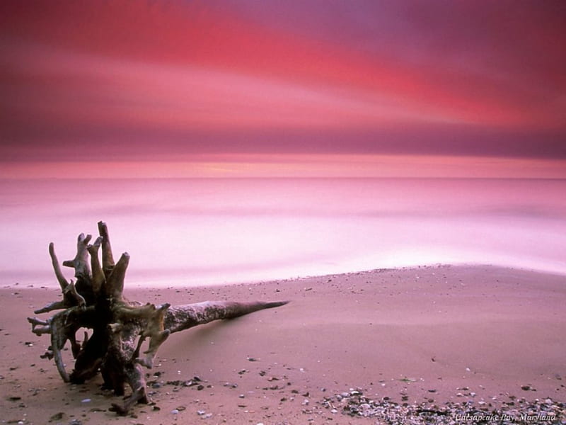 Shades of Pink Over Sand, beach, sand, nature, sun, HD wallpaper