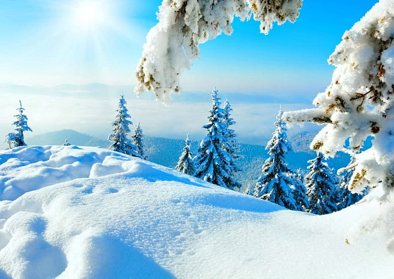 Winter sun, pretty, sun, slopes, dazzling, sunny, bonito, sinshine, snowy, cold, mountain, nice, sun rays, light, frost, blue, calmness, lovely, view, sunlight, sky, trees, winter, serenity, rays, snow, deep, branches, frozen, HD wallpaper