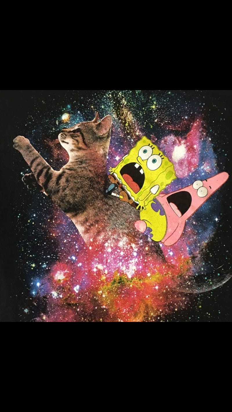 Spongebob on cat, patrick, galaxy, HD phone wallpaper