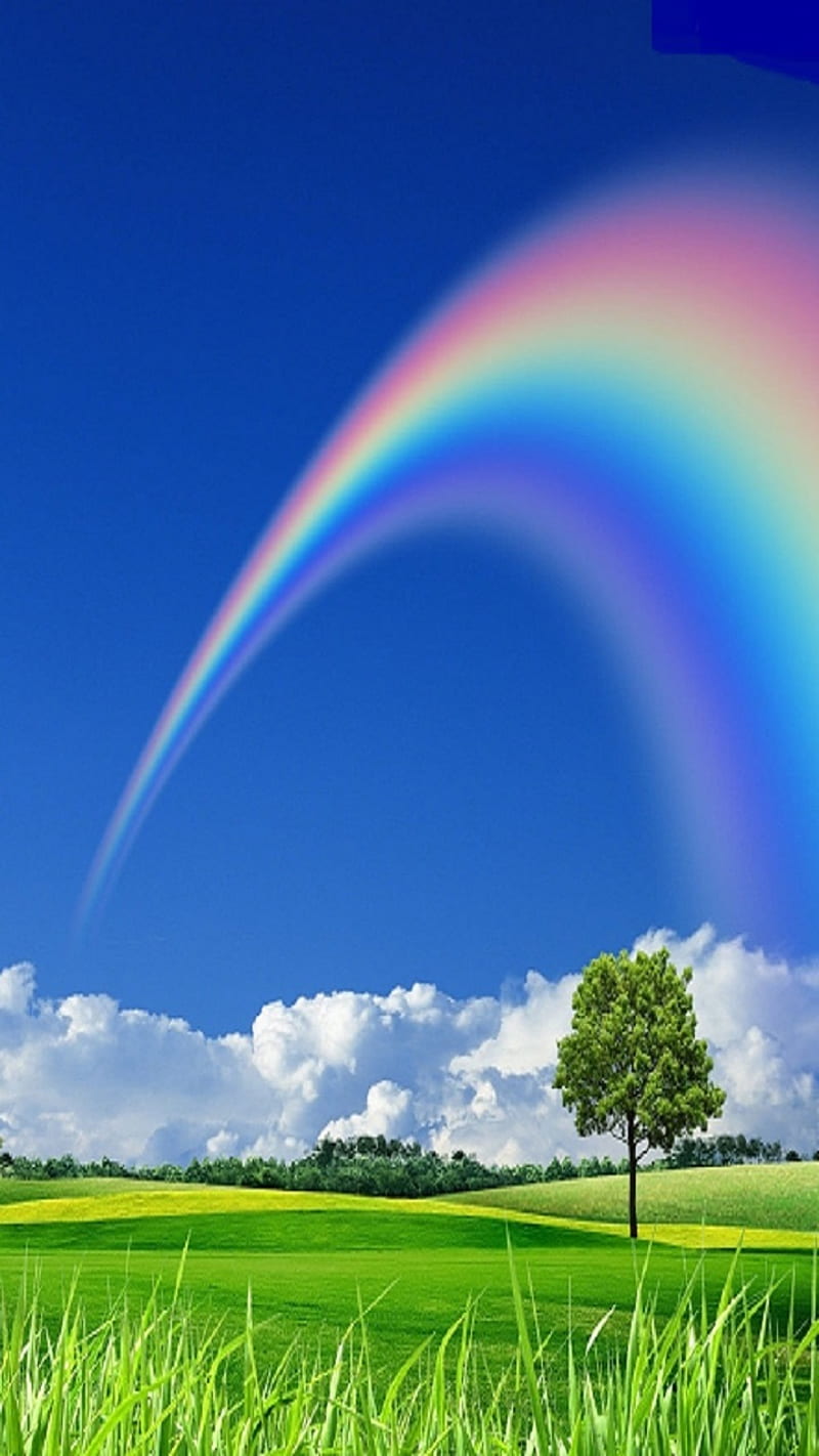 Rainbow Wallpaper Photos, Download The BEST Free Rainbow Wallpaper Stock  Photos & HD Images