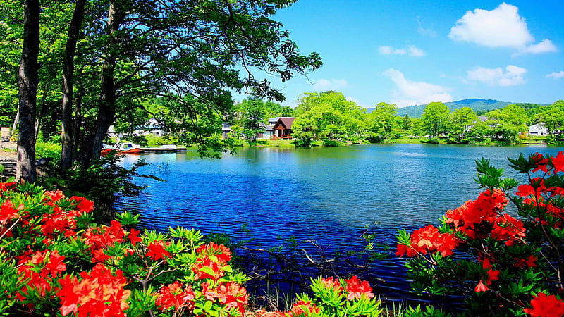 Beautiful Lake Surrounded By Trees Plants Flowers And House Nature, HD wallpaper