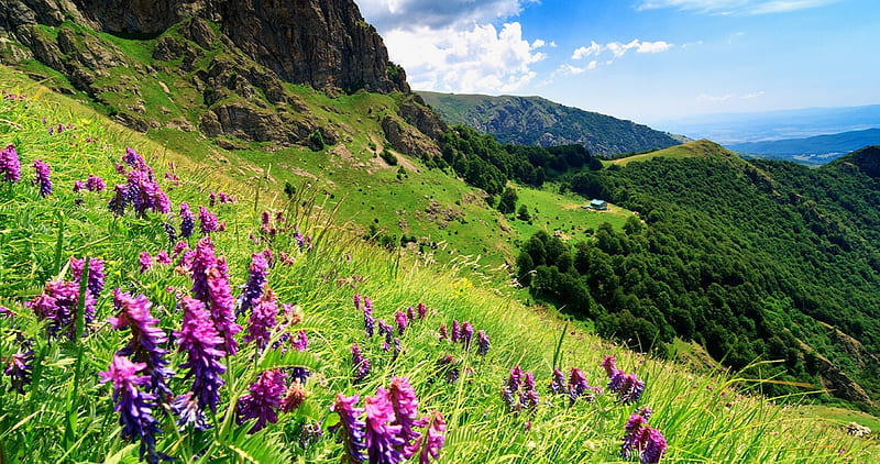 Balkan Mountains, Mountains, Sky, Clouds, Grass, Balkan, Flowers ...
