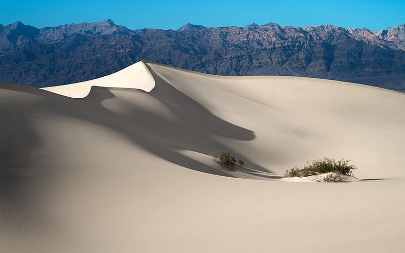 desert, sand, dunes, National Park, Death Valley, California, USA, HD wallpaper