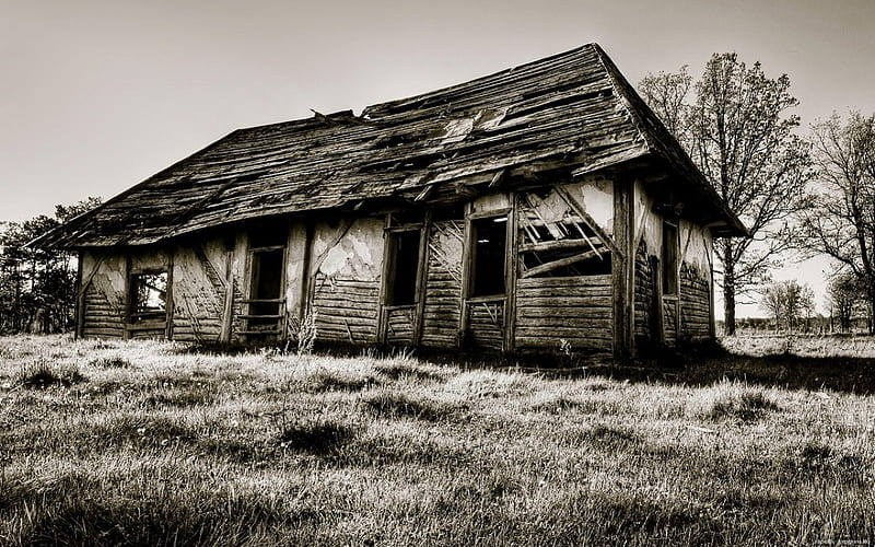 Scary House, art, house, black and white, black, fantasy, dark, scary, nature, white, landscape, HD wallpaper