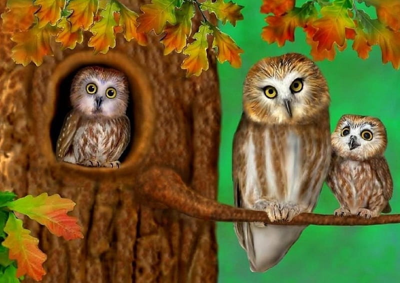 Autumn Cute, family, fall season, autumn, colors, love four seasons, owls, cute, aimals, leaves, HD wallpaper