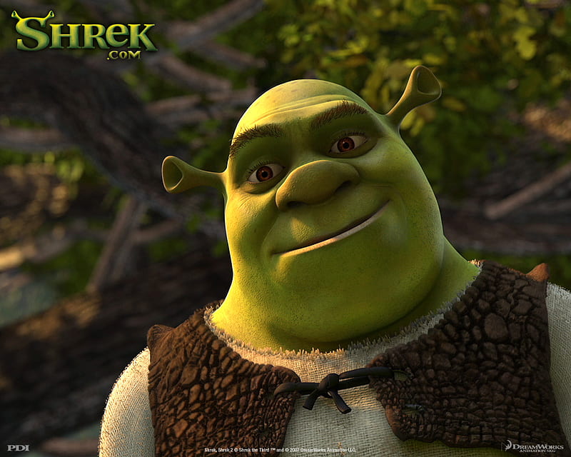 Shrek Face 51300 px, Shrek Meme, HD wallpaper