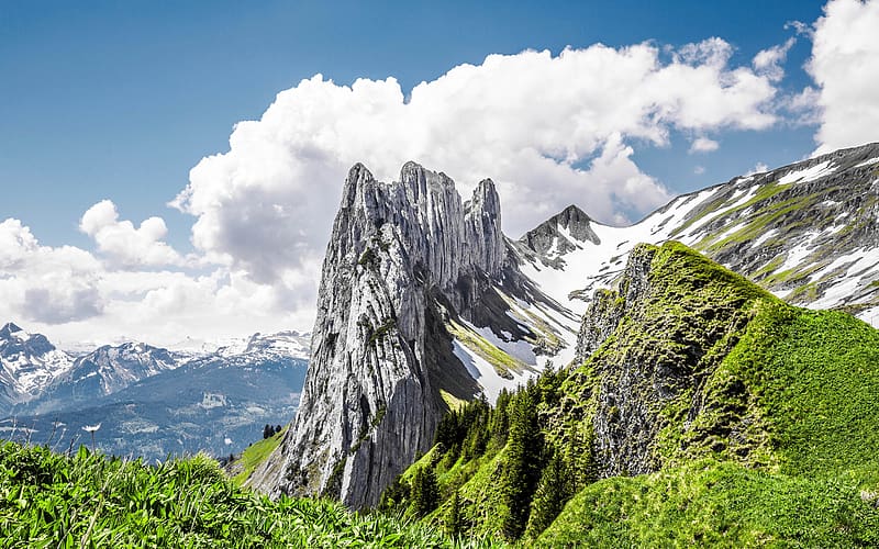 Summer Grass Rock Snow Mountain Switzerland, HD wallpaper