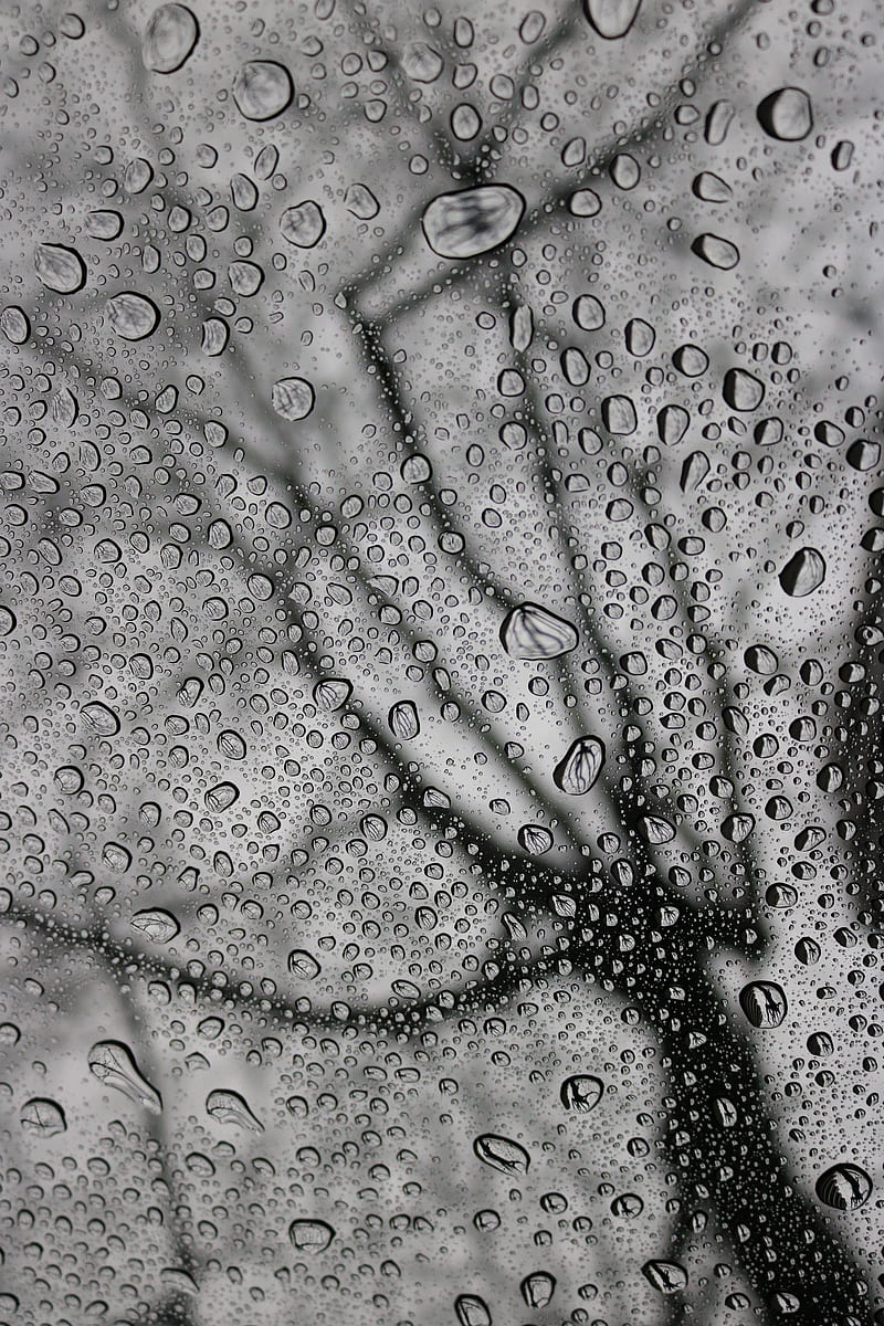 drops, macro, bw, moisture, rain, HD phone wallpaper