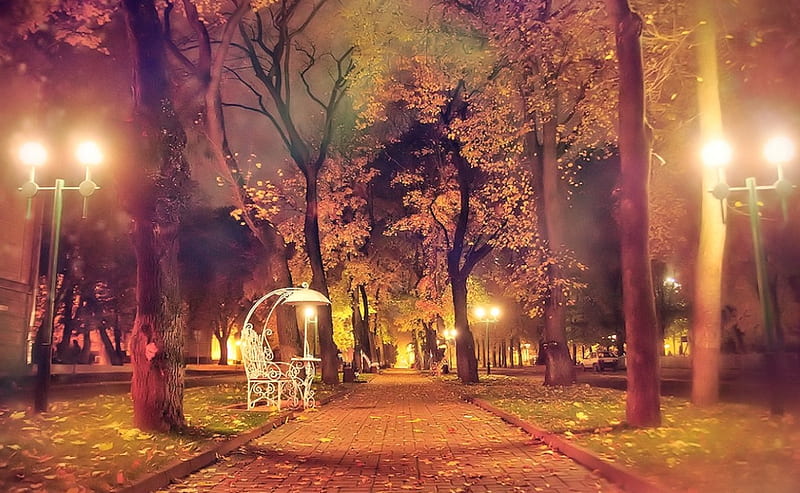 Autumn at night