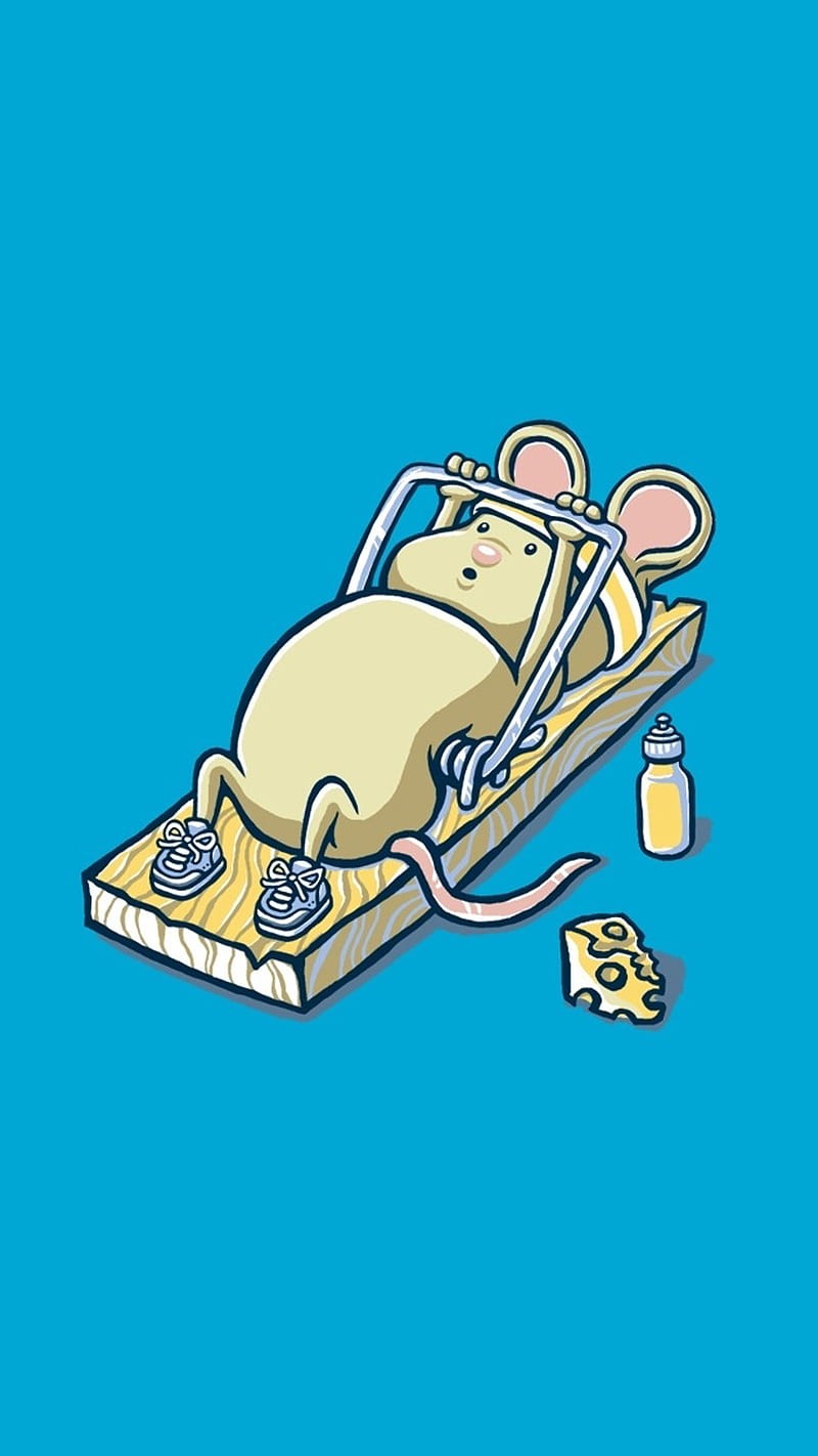 MouseWorkout, mouse, workout, HD phone wallpaper | Peakpx