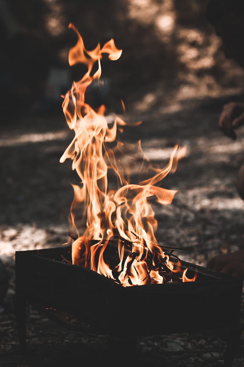 bonfire, fire, grill, flame, HD phone wallpaper