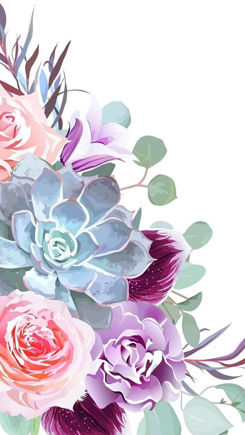 Succulents, flower, pastel, plants, succulent, white, HD phone wallpaper |  Peakpx