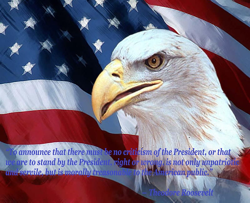 American Flag - Quote, President, quote, America, Flag, bold eagle, US, Roosevelt, HD wallpaper