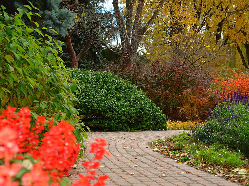 Lovely Autumn Path, colors, autumn, bricks, pathway, HD wallpaper