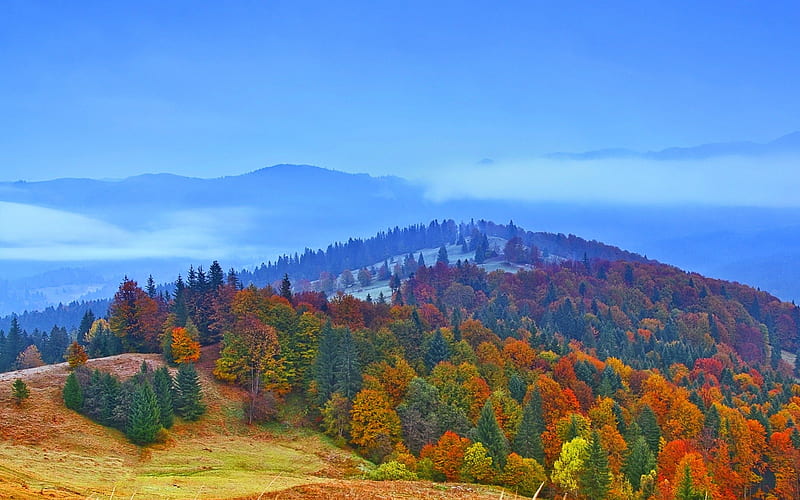 Autumn mountain view, fall, autumn, falling, bonito, foliage, valley ...