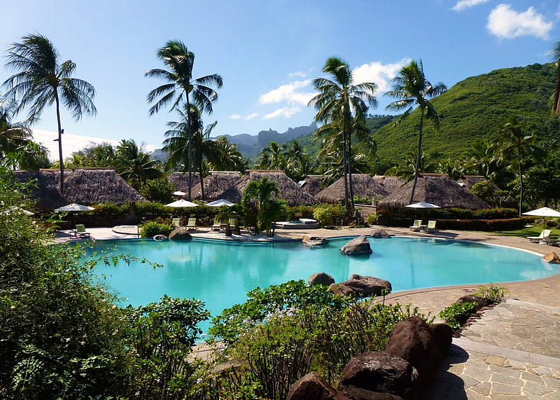 Hilton Resort Hotel - Moorea Tropical Island - Tahiti Polynesia, polynesia, resort, french, palm trees, hilton, luxury, hotel, exotic, islands, holiday, swimming pool, pacific, escape, south, pool, paradise, island, tahiti, tropical, HD wallpaper