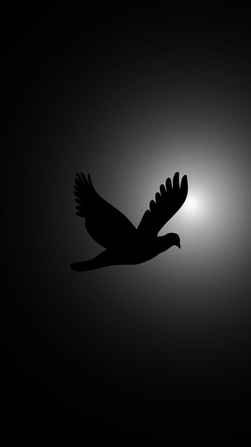 Flying Bird, animal, black, dark, nature, HD phone wallpaper