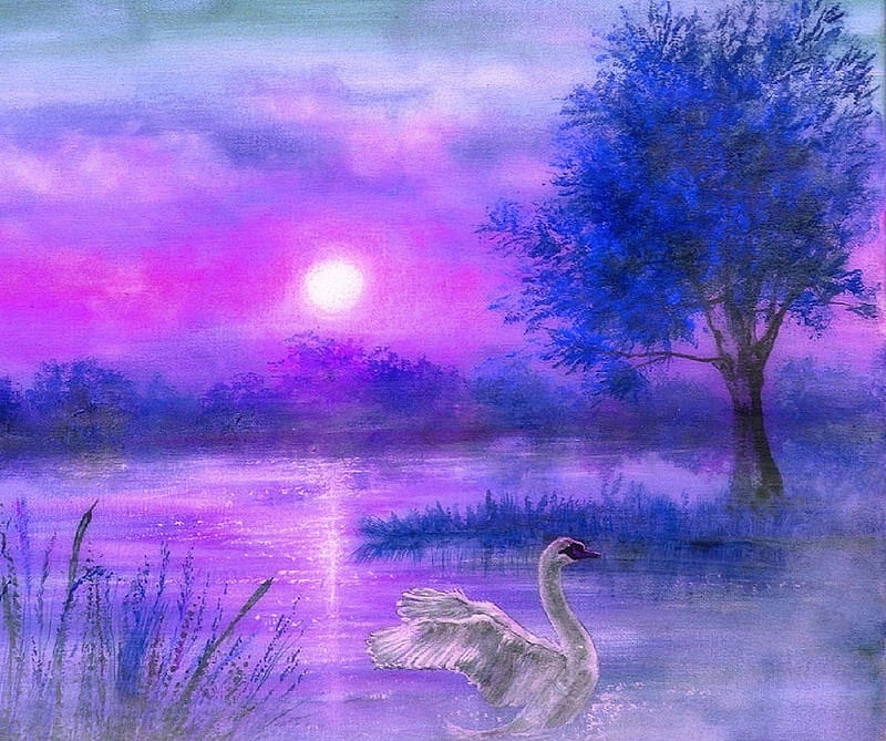 Graceful on the Lake, moons, colorful, draw and paint, lakes, paintngs, love four seasons, attractions in dreams, spring, swan, nature, HD wallpaper