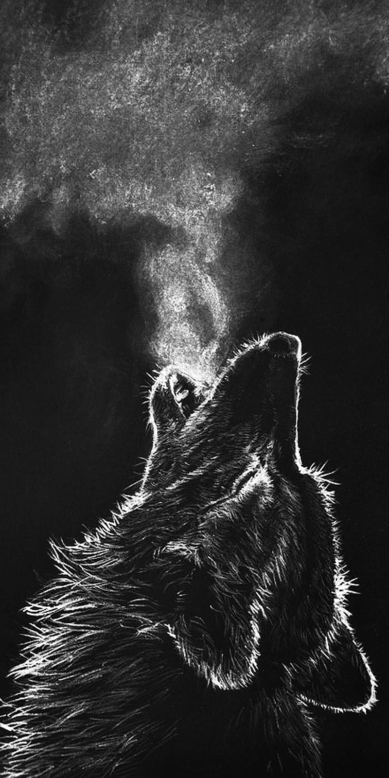Wolf chalkboard, black, smoke, wolf, HD phone wallpaper