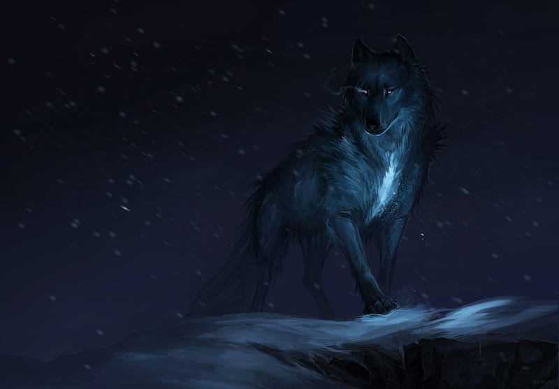 Wolf Drawing, wolf, fantasy, artist, artwork, digital-art, HD wallpaper