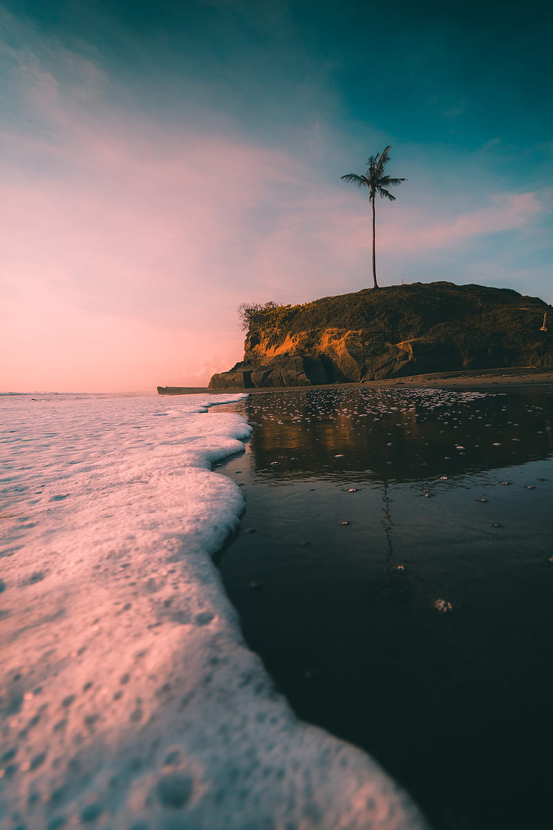 island, palm tree, beach, wave, sea, HD phone wallpaper