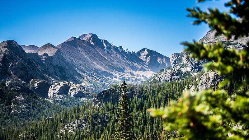 America Rocky Mountain National Park, summer, forest, Colorado, USA, HD wallpaper