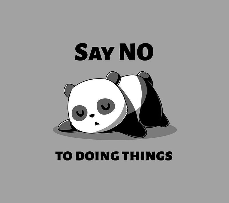 Panda, say no, sayings, tired, HD wallpaper