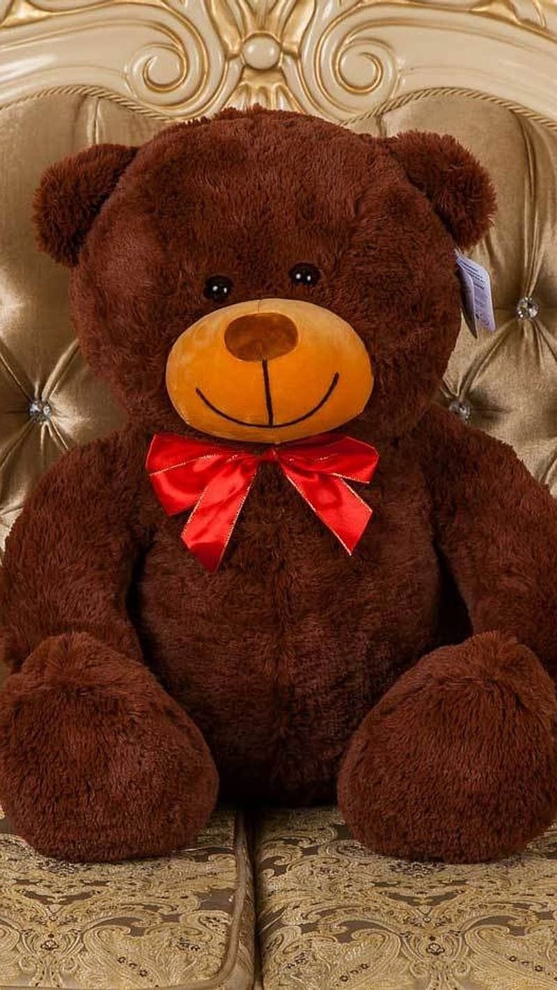 Big Teddy Bear, Dark Brown, sofa, red, bow, HD phone wallpaper