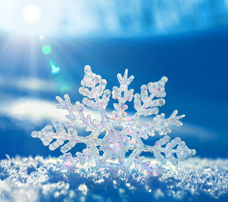 Snowflake, cool, frozen, ice, light, snow, winter, HD wallpaper | Peakpx