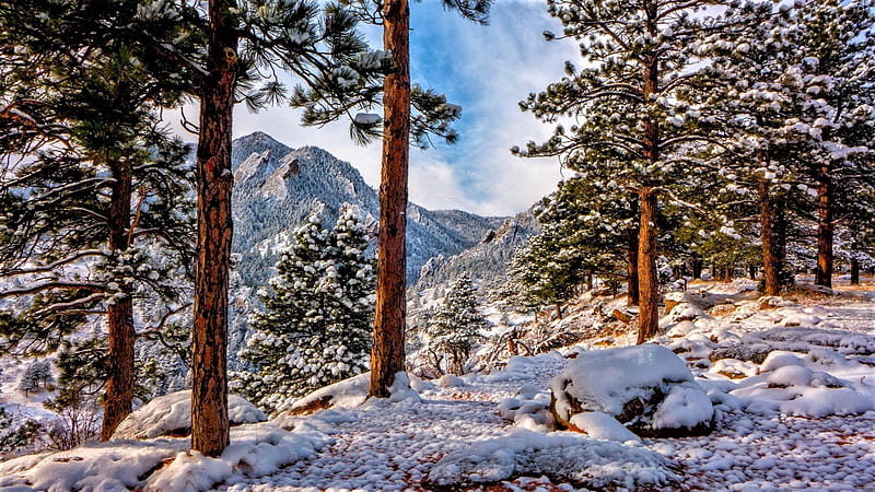 Rocky Mountain, mountain, Colorado, alberi, neve, HD wallpaper