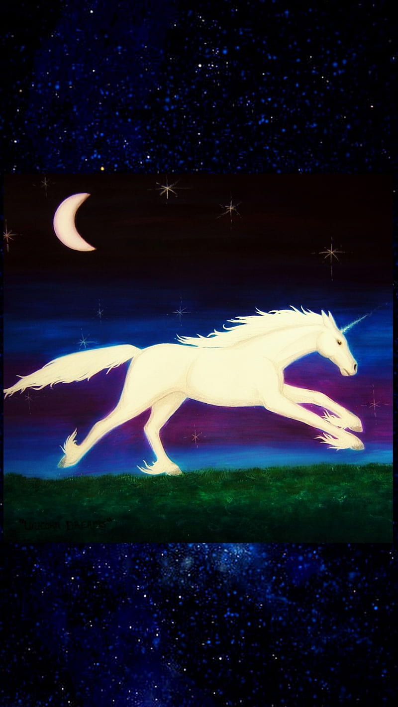 Unicorn Dreams, art, drawn, dream, fantasy, horse, myth, night, sky, stars, HD phone wallpaper