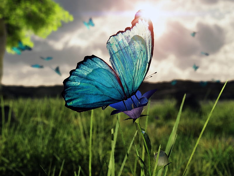 Spring, 3d, butterfly, green, cg, HD wallpaper | Peakpx