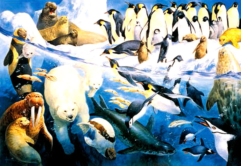 Arctic World., walrus, whales polar bears, penguins, seals, HD wallpaper