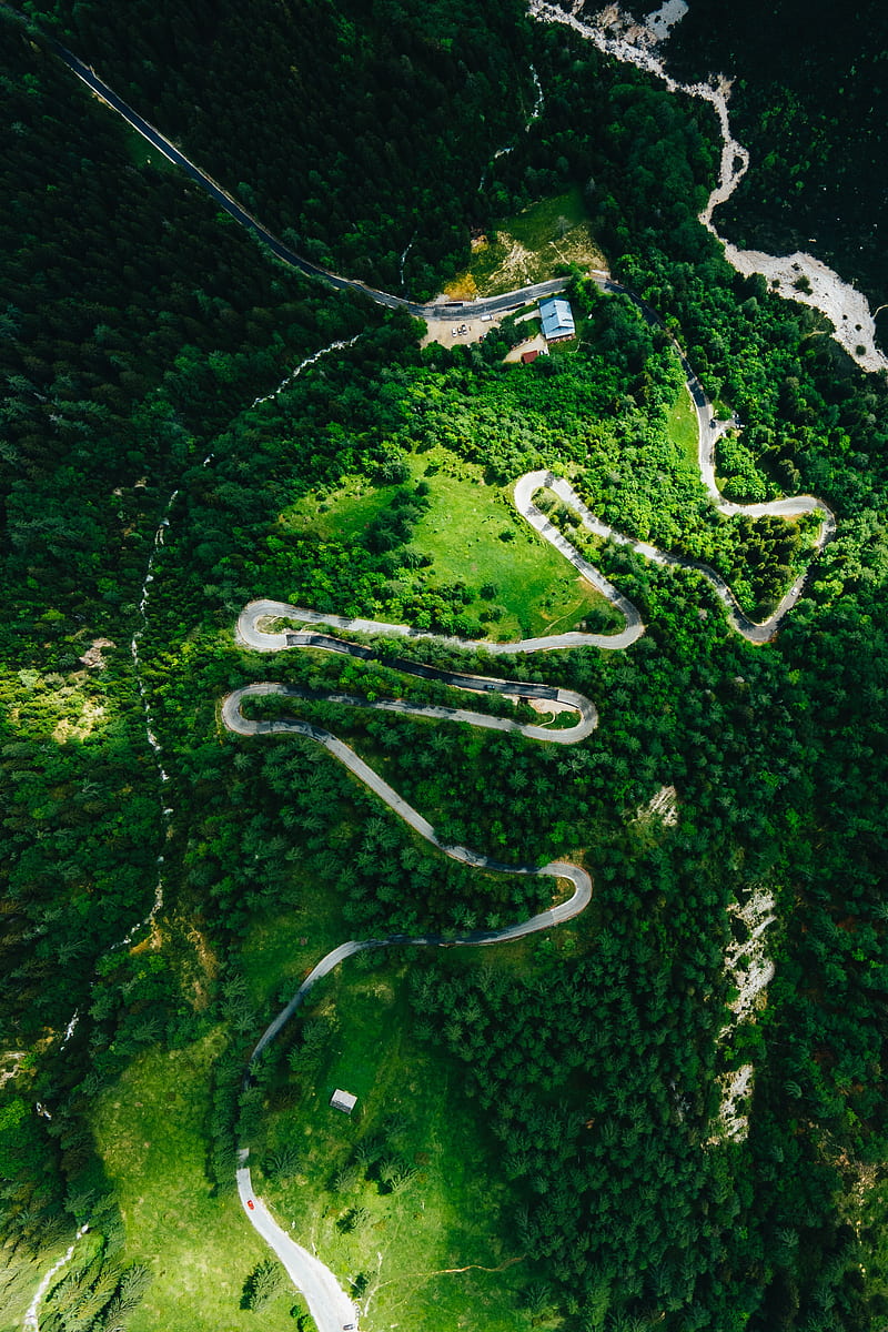 forest, road, winding, aerial view, HD phone wallpaper