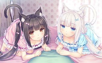 Catgirls Chocola & Vanilla, chocola and vanilla, rose, two girls,  thighhighs, HD wallpaper