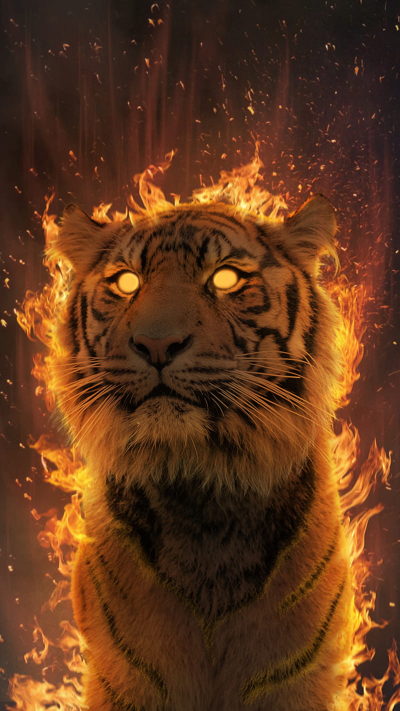 Tiger Aura, animal, burning, fantasy, fire, flame, glow, heat, super power,  HD phone wallpaper | Peakpx