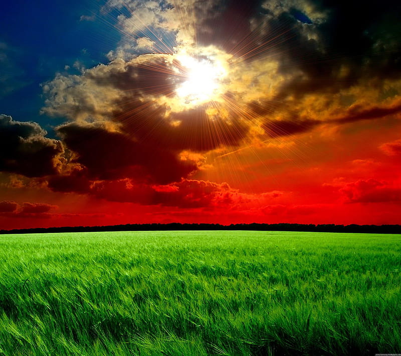 sun breakthrough, clouds, grass, sky, HD wallpaper