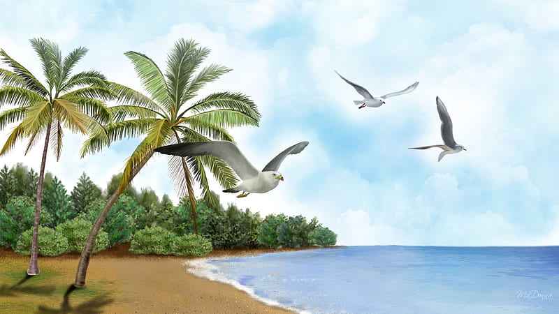 Island Fever, firefox persona, trees, sky, clouds, palm trees, sea, beach, sand, water, gulls, HD wallpaper
