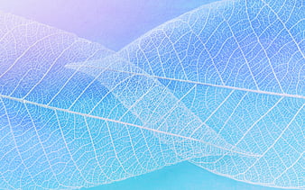 HD background with blue leaves wallpapers | Peakpx
